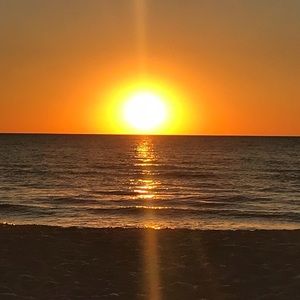 Meet your Posher, Rose